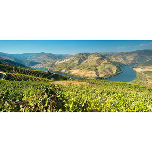 Douro - Travels and Stories - French Edition
