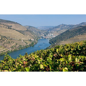 Douro - Travels and stories - French Edition